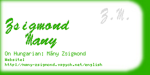 zsigmond many business card