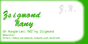 zsigmond many business card